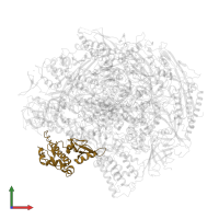 DNA-directed RNA polymerases I, II, and III subunit RPABC1 in PDB entry 2e2h, assembly 1, front view.
