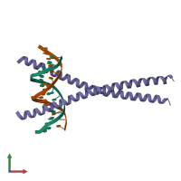 Hetero tetrameric assembly 1 of PDB entry 2e43 coloured by chemically distinct molecules, front view.