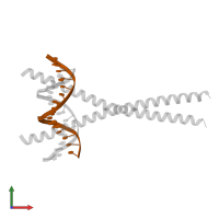 DNA (5'-D(P*DAP*DAP*DTP*DAP*DTP*DTP*DGP*DCP*DGP*DCP*DAP*DAP*DTP*DCP*DCP*DT)-3') in PDB entry 2e43, assembly 1, front view.