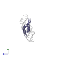 CCAAT/enhancer-binding protein beta in PDB entry 2e43, assembly 1, side view.