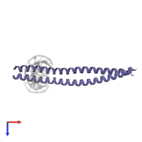 CCAAT/enhancer-binding protein beta in PDB entry 2e43, assembly 1, top view.