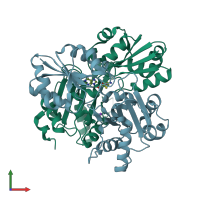 PDB entry 2e4n coloured by chain, front view.
