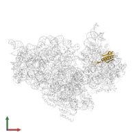 Small ribosomal subunit protein uS10 in PDB entry 2e5l, assembly 1, front view.