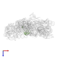 Small ribosomal subunit protein uS12 in PDB entry 2e5l, assembly 1, top view.