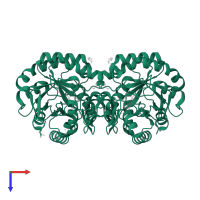Dihydroorotate dehydrogenase (fumarate) in PDB entry 2e6f, assembly 1, top view.