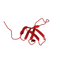 The deposited structure of PDB entry 2e6z contains 1 copy of CATH domain 2.30.30.30 (SH3 type barrels.) in Transcription elongation factor SPT5. Showing 1 copy in chain A.