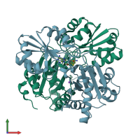 PDB entry 2e8s coloured by chain, front view.