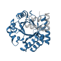 The deposited structure of PDB entry 2eaw contains 2 copies of Pfam domain PF00215 (Orotidine 5'-phosphate decarboxylase / HUMPS family) in Uridine 5'-monophosphate synthase. Showing 1 copy in chain A.