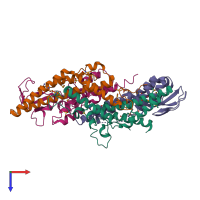 Hetero tetrameric assembly 1 of PDB entry 2eho coloured by chemically distinct molecules, top view.