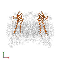 Cytochrome c oxidase subunit 2 in PDB entry 2eij, assembly 1, front view.