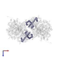 Cytochrome c oxidase subunit 3 in PDB entry 2eim, assembly 1, top view.