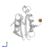 COPPER (II) ION in PDB entry 2eiq, assembly 1, side view.