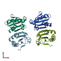 PDB entry 2eir coloured by chain, front view.