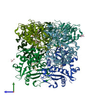 PDB entry 2ej2 coloured by chain, side view.