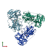 PDB entry 2ej3 coloured by chain, front view.