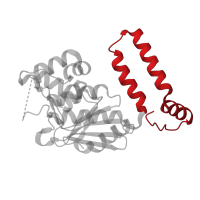 The deposited structure of PDB entry 2ej5 contains 2 copies of CATH domain 1.10.12.10 (Lyase 2-enoyl-coa Hydratase; Chain  A, domain 2) in Enoyl-CoA hydratase subunit II (Phenylacetic acid catabolism). Showing 1 copy in chain B.