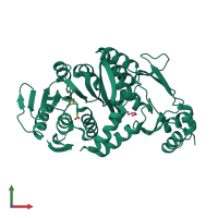 PDB entry 2eju coloured by chain, front view.