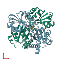 PDB entry 2ek4 coloured by chain, front view.