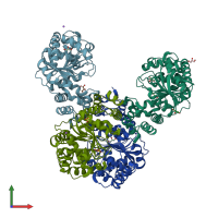 PDB entry 2elc coloured by chain, front view.