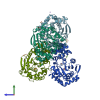 PDB entry 2elc coloured by chain, side view.