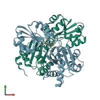 PDB entry 2ele coloured by chain, front view.