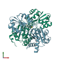 PDB entry 2en5 coloured by chain, front view.