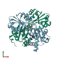 PDB entry 2eni coloured by chain, front view.