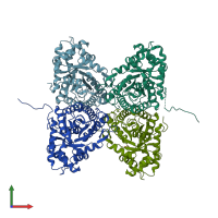 PDB entry 2eph coloured by chain, front view.