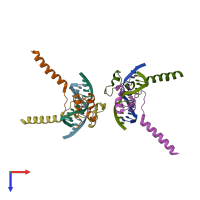 PDB entry 2er8 coloured by chain, top view.