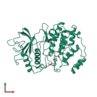 PDB entry 2erk coloured by chain, front view.