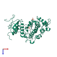 PDB entry 2erk coloured by chain, top view.