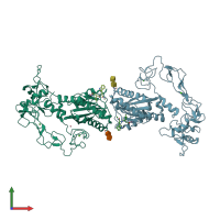 PDB entry 2erp coloured by chain, front view.