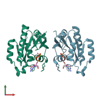 3D model of 2erx from PDBe