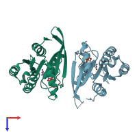 PDB entry 2erx coloured by chain, top view.