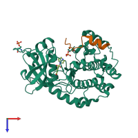 Hetero dimeric assembly 1 of PDB entry 2erz coloured by chemically distinct molecules, top view.
