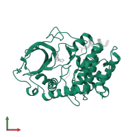 cAMP-dependent protein kinase catalytic subunit alpha in PDB entry 2erz, assembly 1, front view.