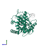 cAMP-dependent protein kinase catalytic subunit alpha in PDB entry 2erz, assembly 1, side view.