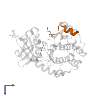 cAMP-dependent protein kinase inhibitor alpha in PDB entry 2erz, assembly 1, top view.