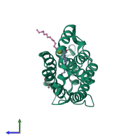 PDB entry 2euk coloured by chain, side view.