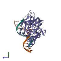 PDB entry 2evg coloured by chain, side view.