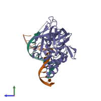 PDB entry 2evi coloured by chain, side view.