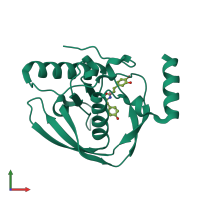 PDB entry 2ew6 coloured by chain, front view.