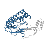 The deposited structure of PDB entry 2ewj contains 1 copy of CATH domain 3.50.14.10 (Replication Terminator Protein (Tus); Chain A, domain 1) in DNA replication terminus site-binding protein. Showing 1 copy in chain C [auth A].