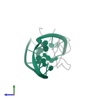 5'-D(*GP*TP*CP*CP*CP*TP*GP*TP*TP*CP*GP*GP*GP*C)-3' in PDB entry 2exf, assembly 1, side view.