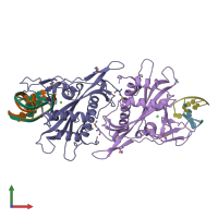 PDB entry 2f03 coloured by chain, ensemble of 2 models, front view.