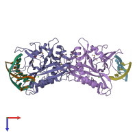 PDB entry 2f03 coloured by chain, ensemble of 2 models, top view.