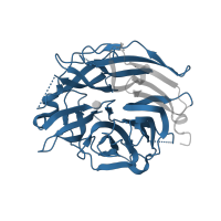 The deposited structure of PDB entry 2f11 contains 1 copy of Pfam domain PF13088 (BNR repeat-like domain) in Sialidase-2. Showing 1 copy in chain A.