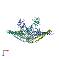 PDB entry 2f1m coloured by chain, top view.