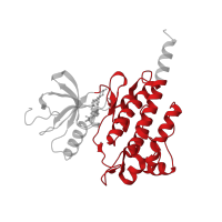 The deposited structure of PDB entry 2f4j contains 1 copy of CATH domain 1.10.510.10 (Transferase(Phosphotransferase); domain 1) in Tyrosine-protein kinase ABL1. Showing 1 copy in chain A.