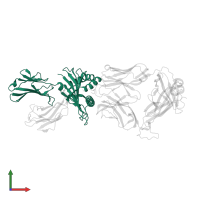 HLA class I histocompatibility antigen, A alpha chain in PDB entry 2f53, assembly 1, front view.